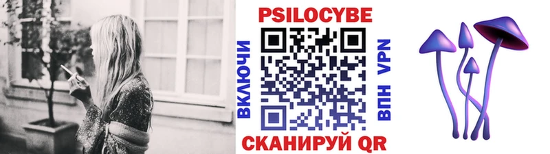 Псилоцибиновые грибы мицелий Староминская