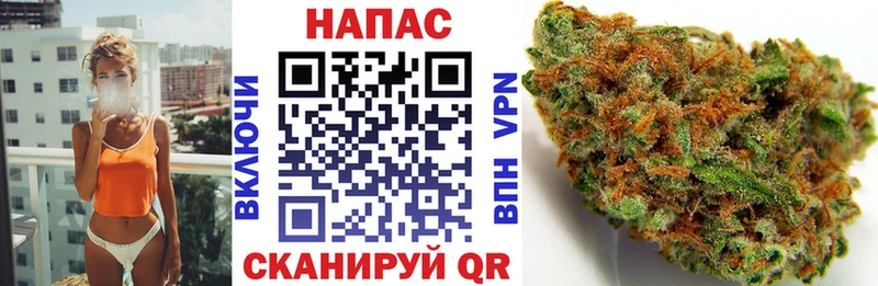 Бошки марихуана MAZAR  hydra зеркало  Староминская 